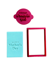 Load image into Gallery viewer, Flower bouquet set 3- mother's day cookie cutter debossers leaf square vase