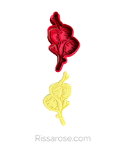 Load image into Gallery viewer, Australian native flower cookie cutter stamp rustic wedding