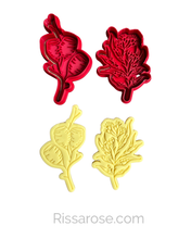 Load image into Gallery viewer, Australian native flower cookie cutter stamp rustic wedding