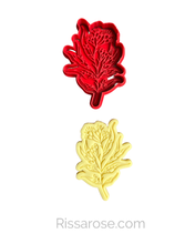Load image into Gallery viewer, Australian native flower cookie cutter stamp rustic wedding