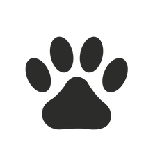 Load image into Gallery viewer, mini dog paw bone cookie stamps 1 cm 2cm