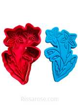 Load image into Gallery viewer, australian native flower cookie cutter stamp rustic wedding f