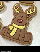 Load image into Gallery viewer, Rudolph Cookie Cutter Stamp Christmas Red Nose Reindeer PYO cookie
