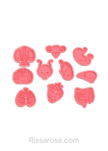 Load image into Gallery viewer, Human Organ Cookie Cutter Stamp Kidney Uterus Stomach Brain Bladder Gall Bladder Liver Lungs Heart Intestines
